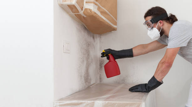 Professional Basement Mold Removal technician working in Columbia, PA