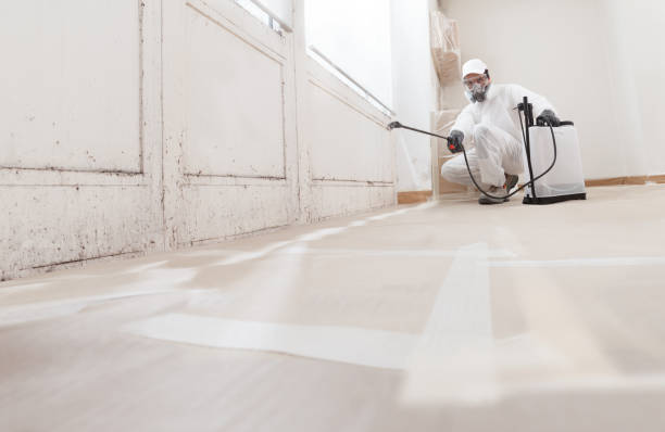 24/7 Emergency Basement Mold Removal experts in Columbia, PA