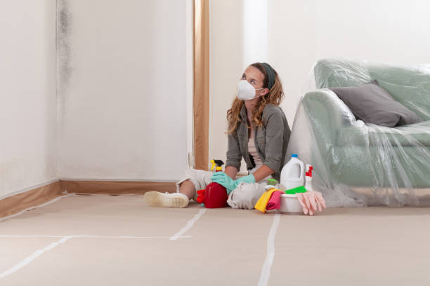 Reliable Basement Mold Removal contractor in Columbia, PA by WQB Mold Removal
